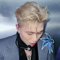 dương domic