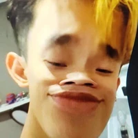 Rynn ngáo đá