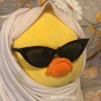 Y/n