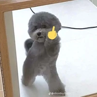 tác giả nè