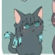 muichiro (mèo) 