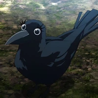 Ginko