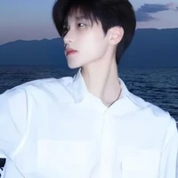 Hoàng Phúc Bảo ( n9 )