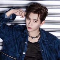 hùng huỳnh gemini