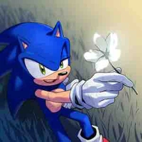 Sonic