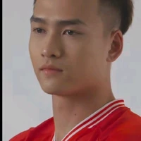 Việt Anh