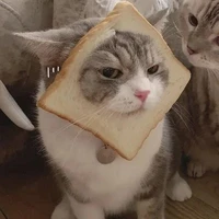 cả lớp 12A1