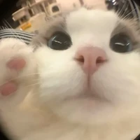 narinnn lười nhất quả đất