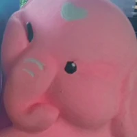 NV tổng hợp nữ