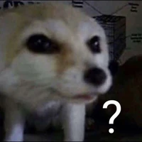 ？？？(top)