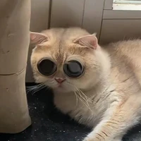 quỷ Tác Giả