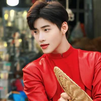 Huỳnh Hoàng Hùng - Gemini