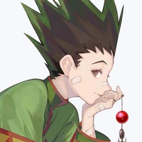 Gon Freecss