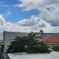 bác sĩ