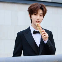 Hạ Tuấn Lâm(em)