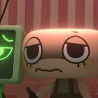 Shelly ( Supporter / Extractor )