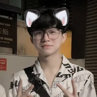 quý ( mèo )