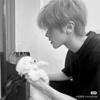 Nhiếp Viên Thành