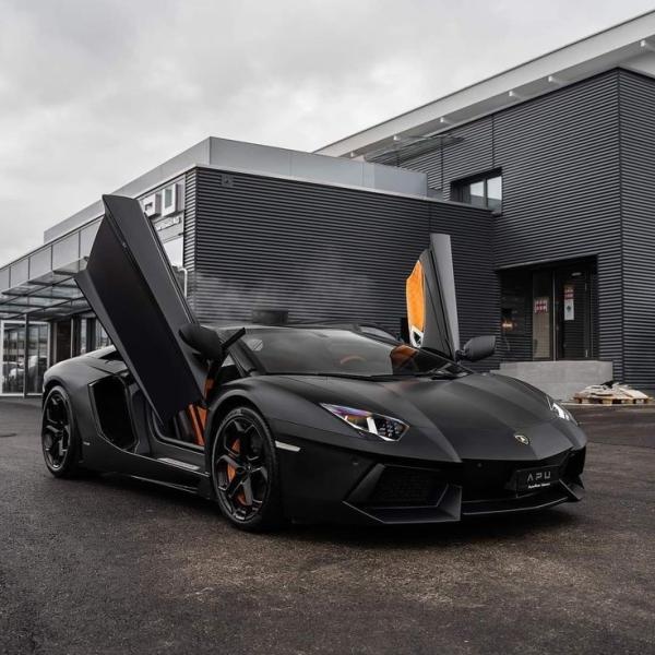 [Faye×yoko] LOVE Tải Tiểu Thuyết PDF NovelToon