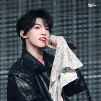 Trương Trạch Vũ
