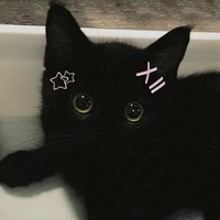 Tác giả [ Gemini ]