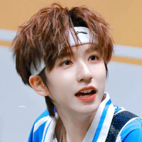 Hạ Tuần Lâm-L