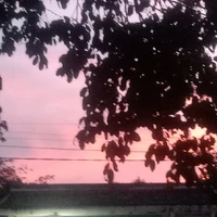 All bot( trừ Phúc)