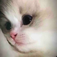 tác giả mê ngọt😍