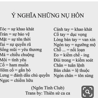 Tác giả