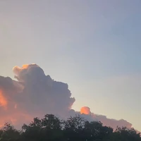 ？？？