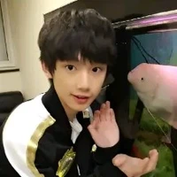 Đinh Trình Hâm ( Khi bé )