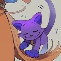 catnap