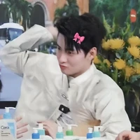 Huỳnh Hoàng Hùng-Gemini