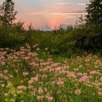 💤T/g siu simp bnha-)..