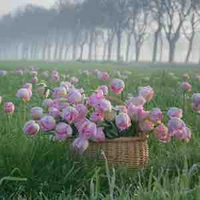 Đặng Đạt Thành [ Ba Đặng  ]