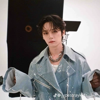 Lee Know