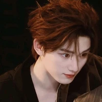 Đinh Trình Hâm