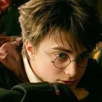 harry Potter 🦁
