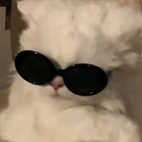 Phin nèeeee 