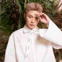 Dương Domic