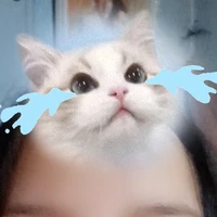 t/g thik ngủ 💤