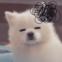 Tài xế