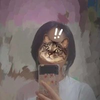 T/giả 🦈🐻