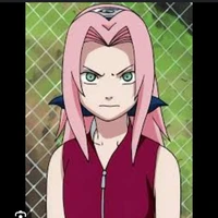 sakura