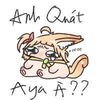 T.giả