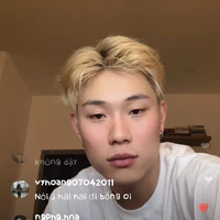 dương domic