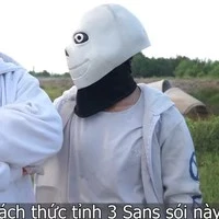 alpha sans