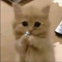 ？？？