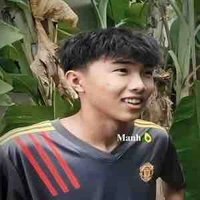 Phạm Đình Hoà 