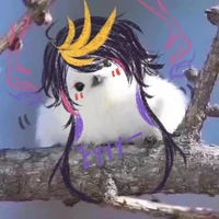 Tác giả mến yêu